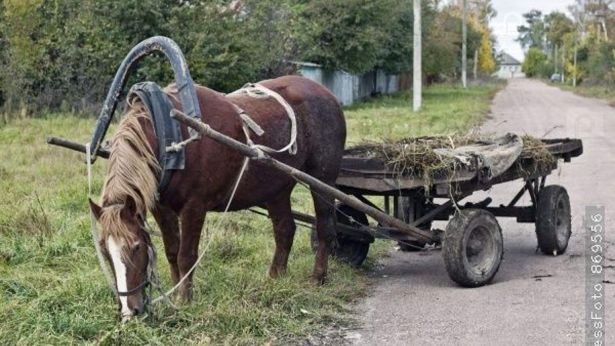 Сломанная телега картинки