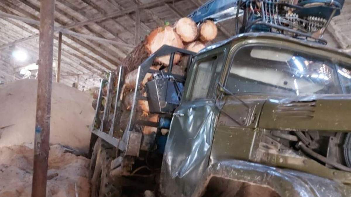 Вырубили деревья на более 2,6 миллиона гривен: следователи сообщили о подозрении черным лесорубам Вырубили деревья на более 2,6 миллиона гривен: следователи сообщили о подозрении черным лесорубам