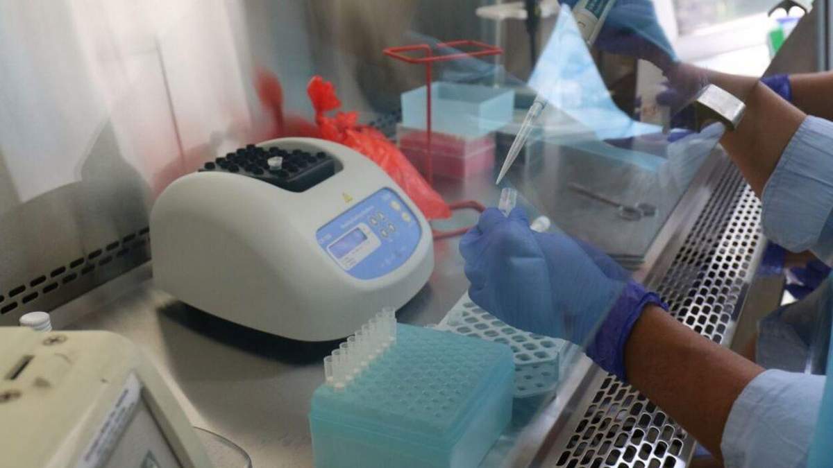 Ситуация с коронавирусом на Львовщине: сколько новых больных и коек в больницах Ситуация с коронавирусом на Львовщине: сколько новых больных и коек в больницах