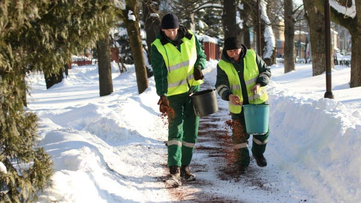 Во Львове продолжают бороться с гололедом с помощью кофейной гущи: фото Во Львове продолжают бороться с гололедом с помощью кофейной гущи: фото