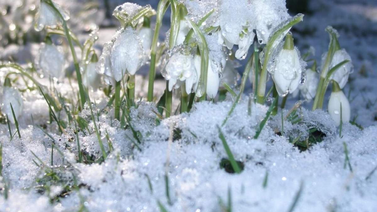 Штормовой ветер: прогноз погоды во Львове и области на 27 февраля 2021 Штормовой ветер: прогноз погоды во Львове и области на 27 февраля 2021